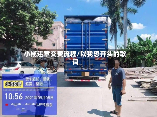 小榄违章交费流程/以我想开头的歌词