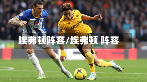 埃弗顿阵容/埃弗顿 阵容