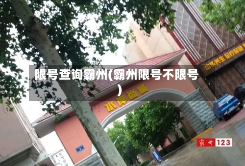 限号查询霸州(霸州限号不限号)