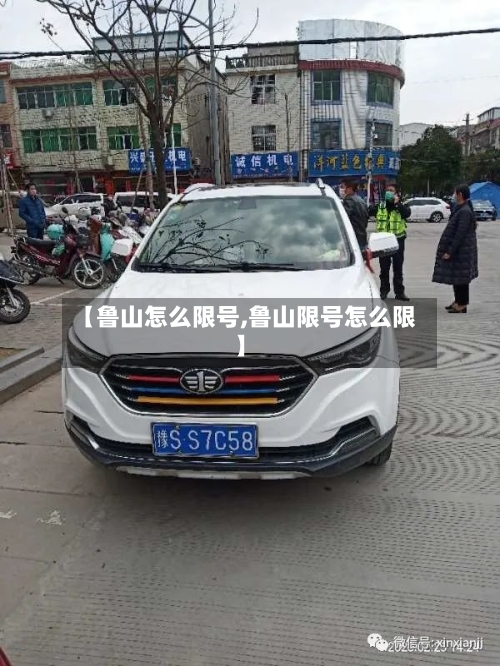 【鲁山怎么限号,鲁山限号怎么限】