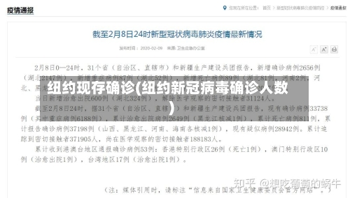 纽约现存确诊(纽约新冠病毒确诊人数)