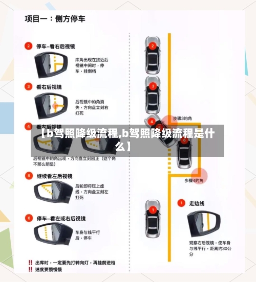 【b驾照降级流程,b驾照降级流程是什么】