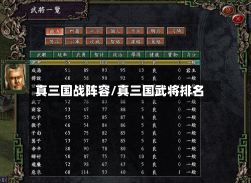 真三国战阵容/真三国武将排名