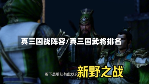 真三国战阵容/真三国武将排名