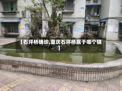 【石坪桥确诊,重庆石坪桥属于哪个镇】