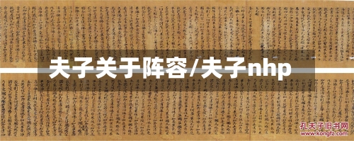 夫子关于阵容/夫子nhp