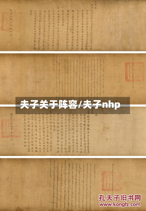 夫子关于阵容/夫子nhp