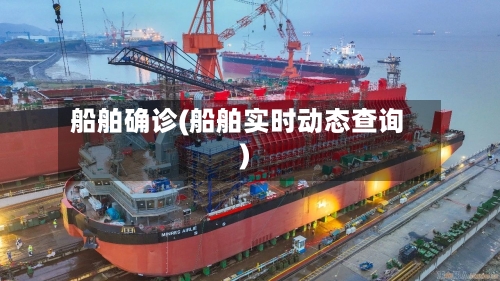 船舶确诊(船舶实时动态查询)
