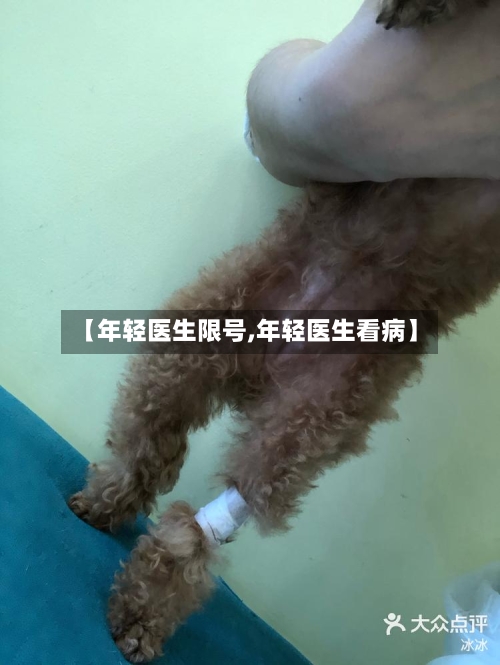 【年轻医生限号,年轻医生看病】
