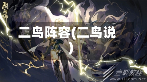 二鸟阵容(二鸟说)