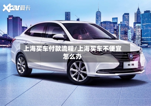 上海买车付款流程/上海买车不便宜怎么办