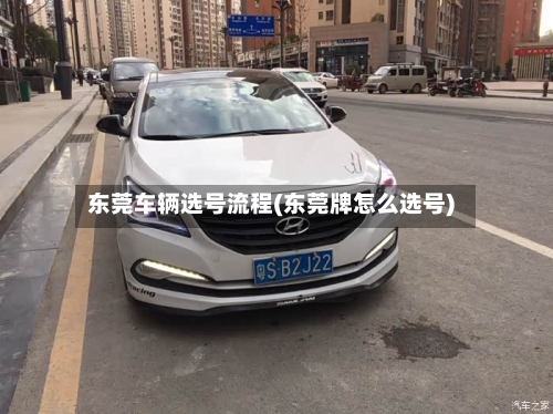 东莞车辆选号流程(东莞牌怎么选号)